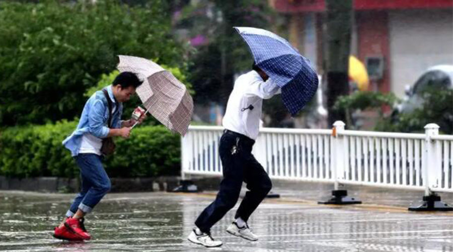 9號臺風(fēng)“馬鞍”生成！金環(huán)電器提醒大家要注意的事項(xiàng)