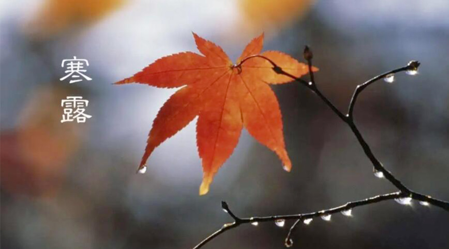 寒露時節(jié)！金環(huán)電器提醒大家要注意的事項