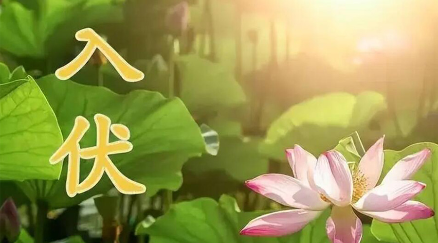 入伏天來襲！金環(huán)電器提醒大家要注意的事項