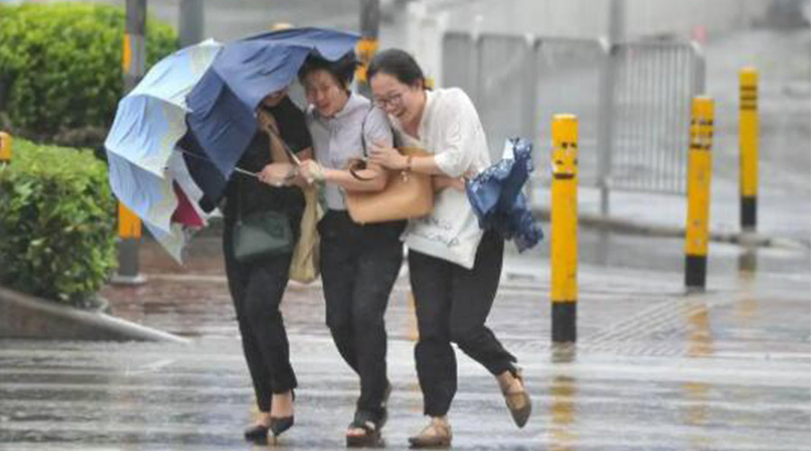 家有衣物烘干機(jī)，無(wú)懼臺(tái)風(fēng)天吹走和淋濕衣物！