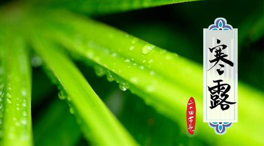 寒露時(shí)節(jié)到！金環(huán)電器提醒這些干衣事項(xiàng)要注意