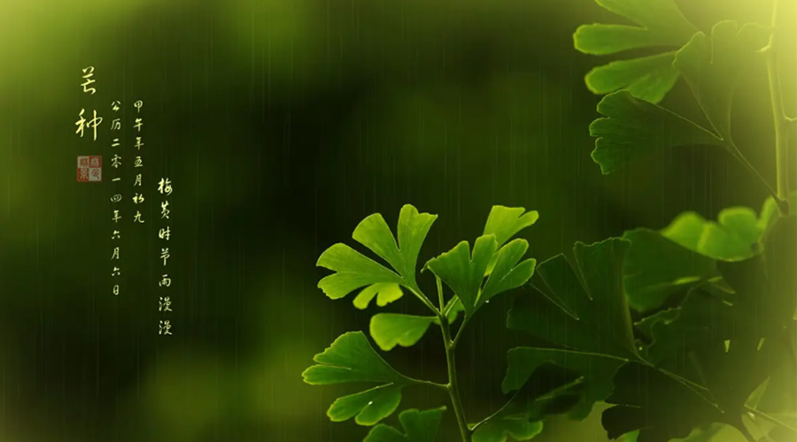 芒種時(shí)節(jié)！金環(huán)電器提醒大家的注意事項(xiàng)