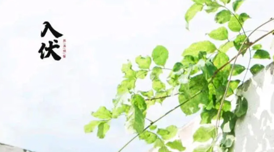 初伏時節(jié)！金環(huán)電器提醒大家要注意的事項