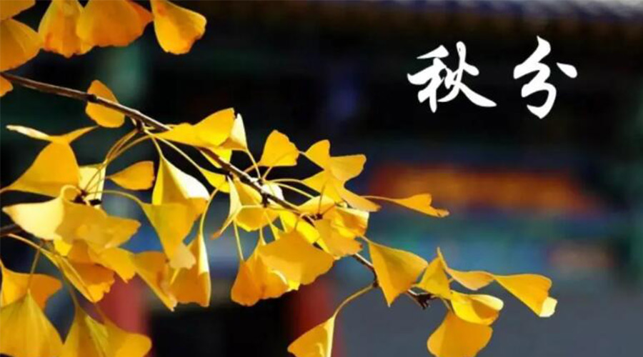 秋分時節(jié)！金環(huán)電器提醒大家要注意的事項