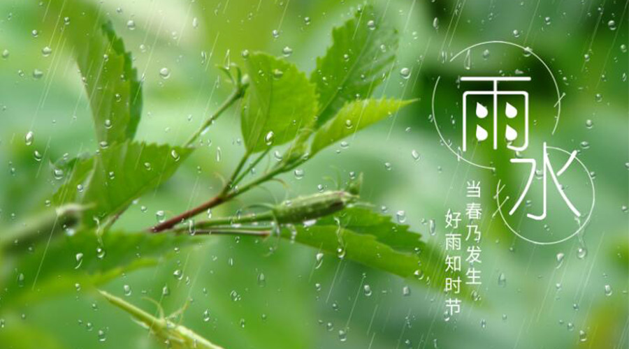 雨水時(shí)節(jié)！金環(huán)電器提醒大家要注意的事項(xiàng)