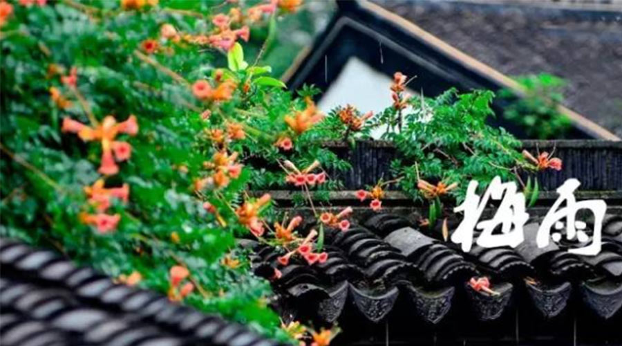 什么是梅雨？梅雨如何形成？  金環(huán)電器告訴你答案