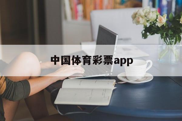 中国体育彩票app(中国体育彩票APP下载)